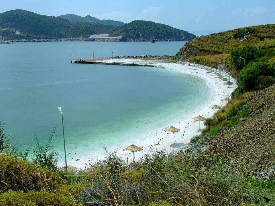 Image (6)